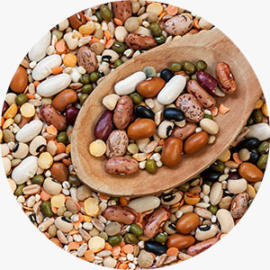 Dals and Pulses Image